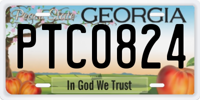 GA license plate PTC0824