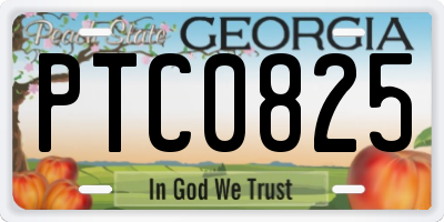 GA license plate PTC0825