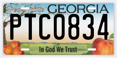 GA license plate PTC0834