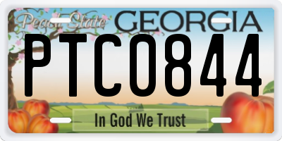 GA license plate PTC0844