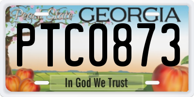 GA license plate PTC0873