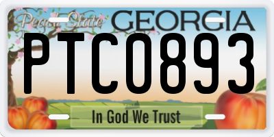 GA license plate PTC0893