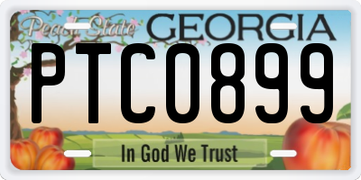 GA license plate PTC0899
