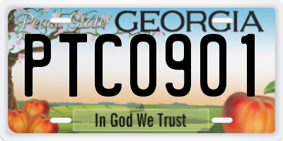 GA license plate PTC0901