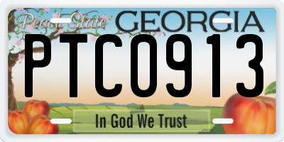 GA license plate PTC0913