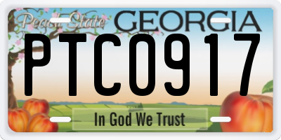 GA license plate PTC0917