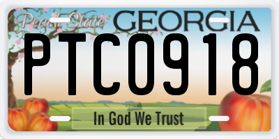 GA license plate PTC0918