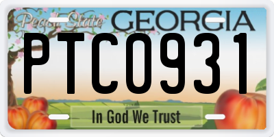 GA license plate PTC0931