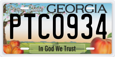 GA license plate PTC0934