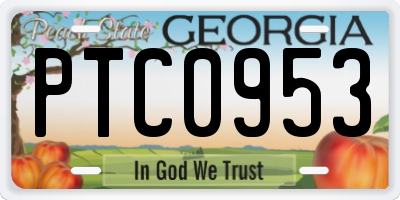 GA license plate PTC0953