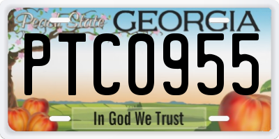 GA license plate PTC0955