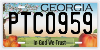 GA license plate PTC0959