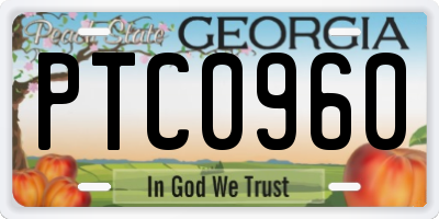 GA license plate PTC0960
