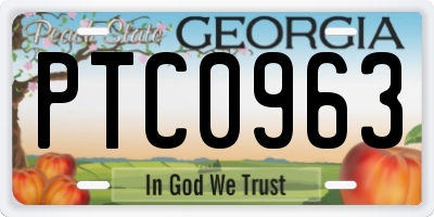 GA license plate PTC0963
