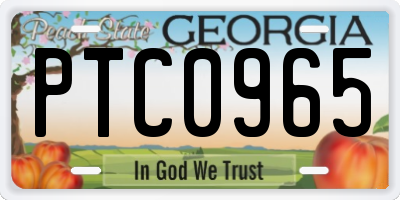 GA license plate PTC0965