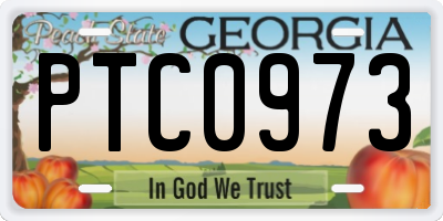GA license plate PTC0973