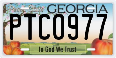 GA license plate PTC0977