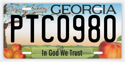 GA license plate PTC0980