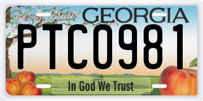 GA license plate PTC0981
