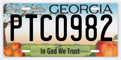 GA license plate PTC0982