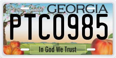 GA license plate PTC0985