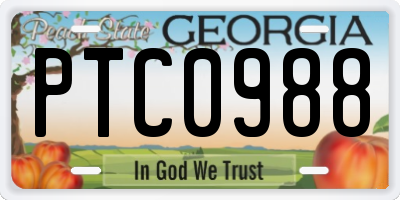 GA license plate PTC0988