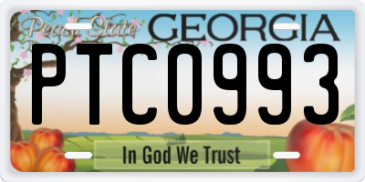 GA license plate PTC0993