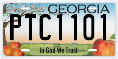 GA license plate PTC1101