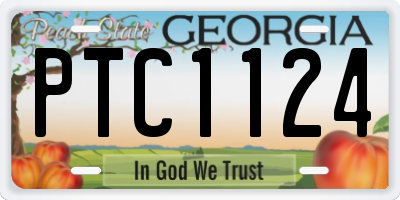 GA license plate PTC1124