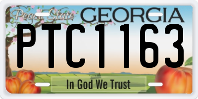 GA license plate PTC1163