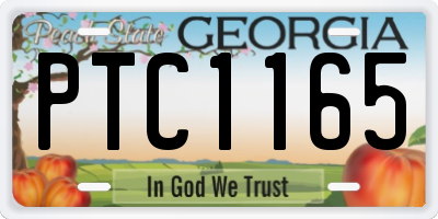 GA license plate PTC1165
