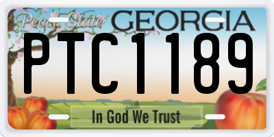 GA license plate PTC1189