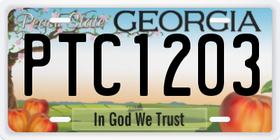 GA license plate PTC1203