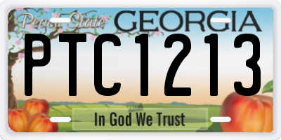 GA license plate PTC1213