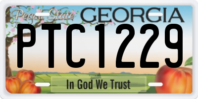 GA license plate PTC1229