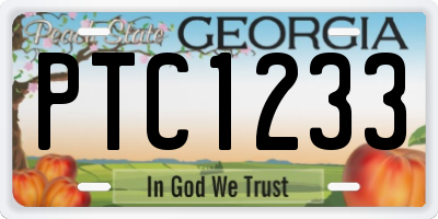 GA license plate PTC1233