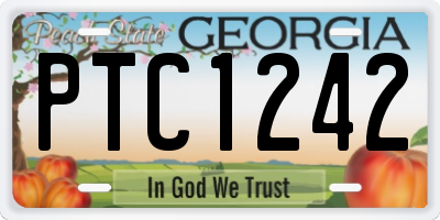 GA license plate PTC1242