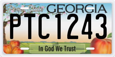 GA license plate PTC1243