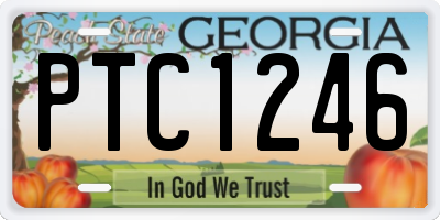 GA license plate PTC1246