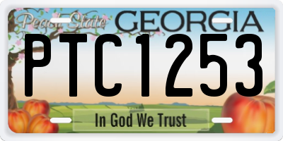 GA license plate PTC1253