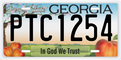 GA license plate PTC1254