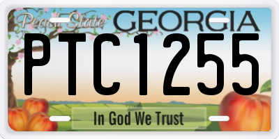 GA license plate PTC1255