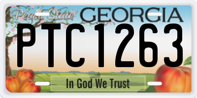 GA license plate PTC1263