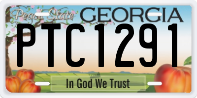 GA license plate PTC1291