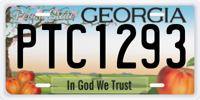 GA license plate PTC1293