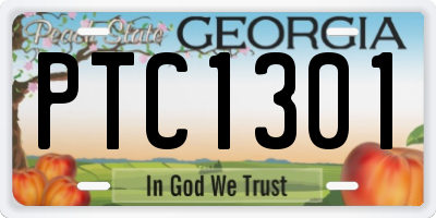 GA license plate PTC1301