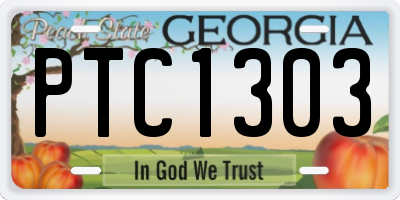 GA license plate PTC1303