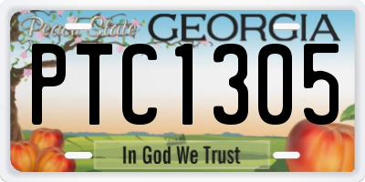 GA license plate PTC1305