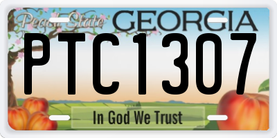 GA license plate PTC1307