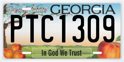 GA license plate PTC1309